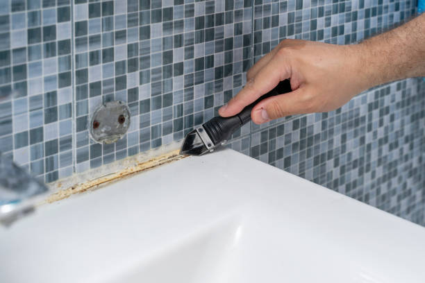 Best Residential Mold Remediation in St Cloud, FL